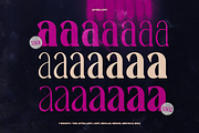 TT Montero Serif Condensed, a Serif Font by truetype (Thumbnail 8 of 15)