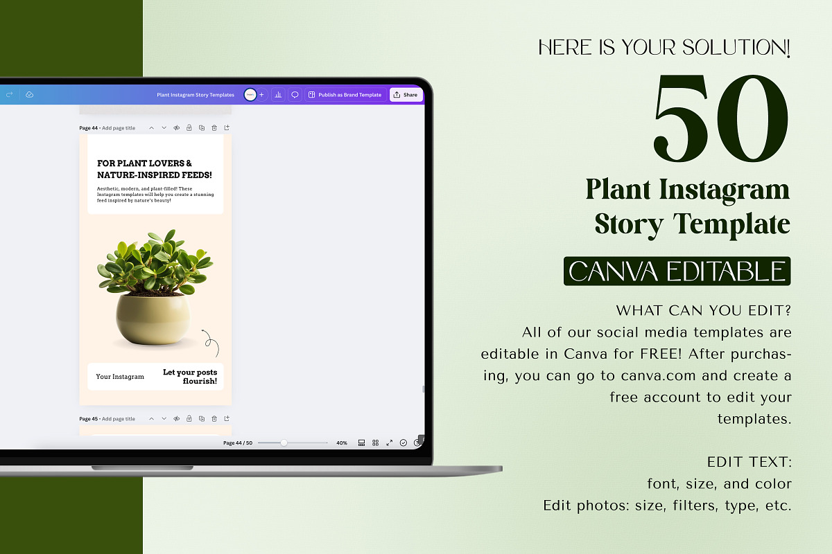 Editable Plant Canva Story Template, a Social Media Template by Snapybiz (Photo 2 of 11)