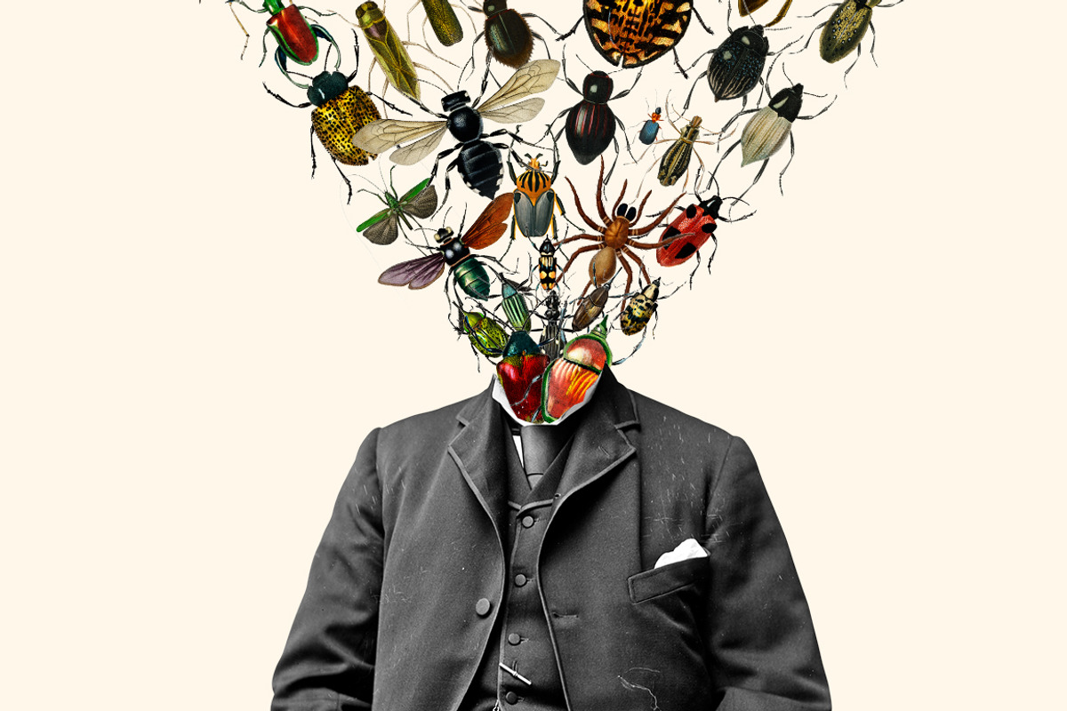 Vintage Collage Creator 1000+ Images, an Object Graphic by Collage Supply Co (Photo 17 of 21)
