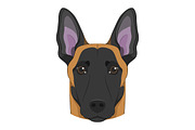 30x Dog breeds Set 2, an Animal Illustration by asantosg (Thumbnail 6 of 7)