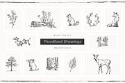 Woodland Drawings, an Animal Illustration by PeDe Designs (Thumbnail 9 of 9)