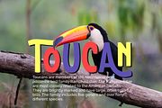 The Fountain of Wishes, a Font by NimaType (Thumbnail 2 of 6)