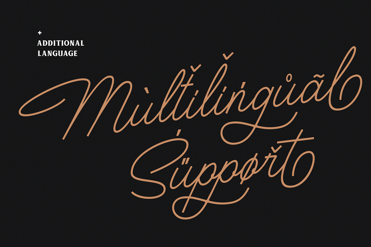 Houstoner Script + EXTRAS! (40%OFF), a Script Font by Martype (Photo 12 of 14)