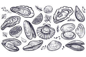 Vector Sketch Of Shellfish & Oysters