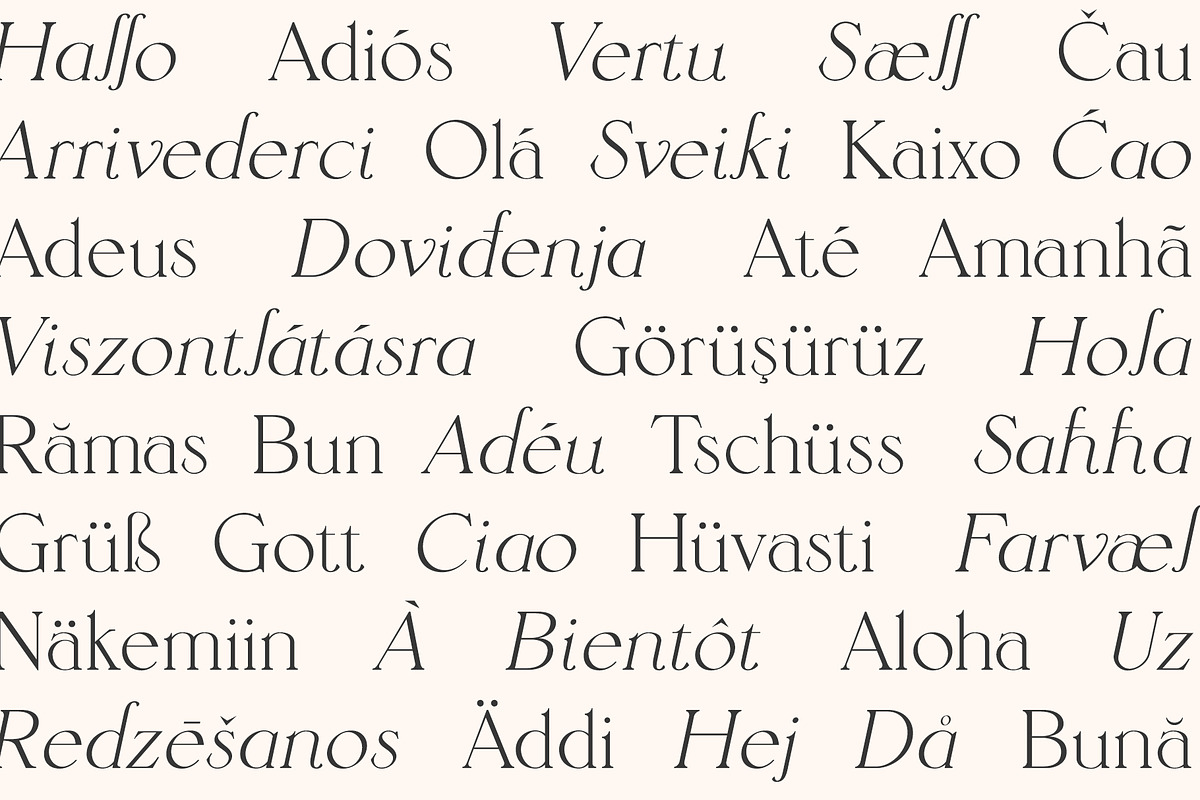 Sangarius // A Chic Serif Typeface, a Serif Font by Megs Lang (Photo 11 of 15)