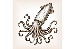squid with detailed tentacles vector, an Animal Illustration by AlexArt