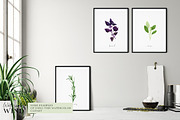 Culinary Herbs and Spices Clipart, a Decorative Illustration by WatercolorWind (Thumbnail 6 of 6)