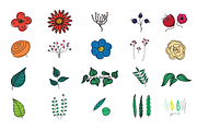 20 Plants Illustrations - Vector Art, an Illustration by MeHi (Thumbnail 2 of 4)
