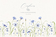 Watercolor Cornflowers, an Illustration by Nastya.Chay (Thumbnail 9 of 10)