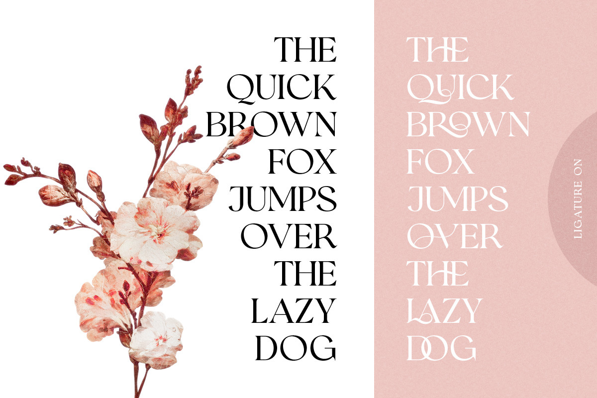 UPDATE! Romans Story Ligature Serif, a Serif Font by Letterhend Studio