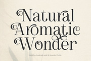 Blissful Sunshine - Romantic Swash, a Serif Font by Shakira Studio (Thumbnail 2 of 10)