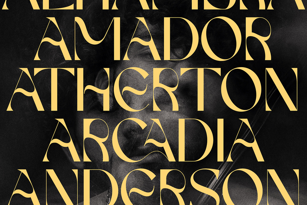 FRENCH CHATEAUX - Chic Display Font, a Sans Serif Font by SilverStag Type Foundry (Photo 11 of 22)