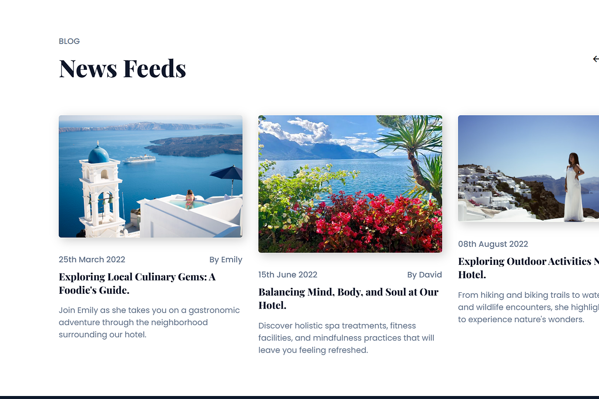 Ianopolis-Hotel Website Template, a HTML Template by NomaTemplates (Photo 6 of 8)