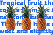 Rafigo, a Sans Serif Font by Khoir (Thumbnail 5 of 9)