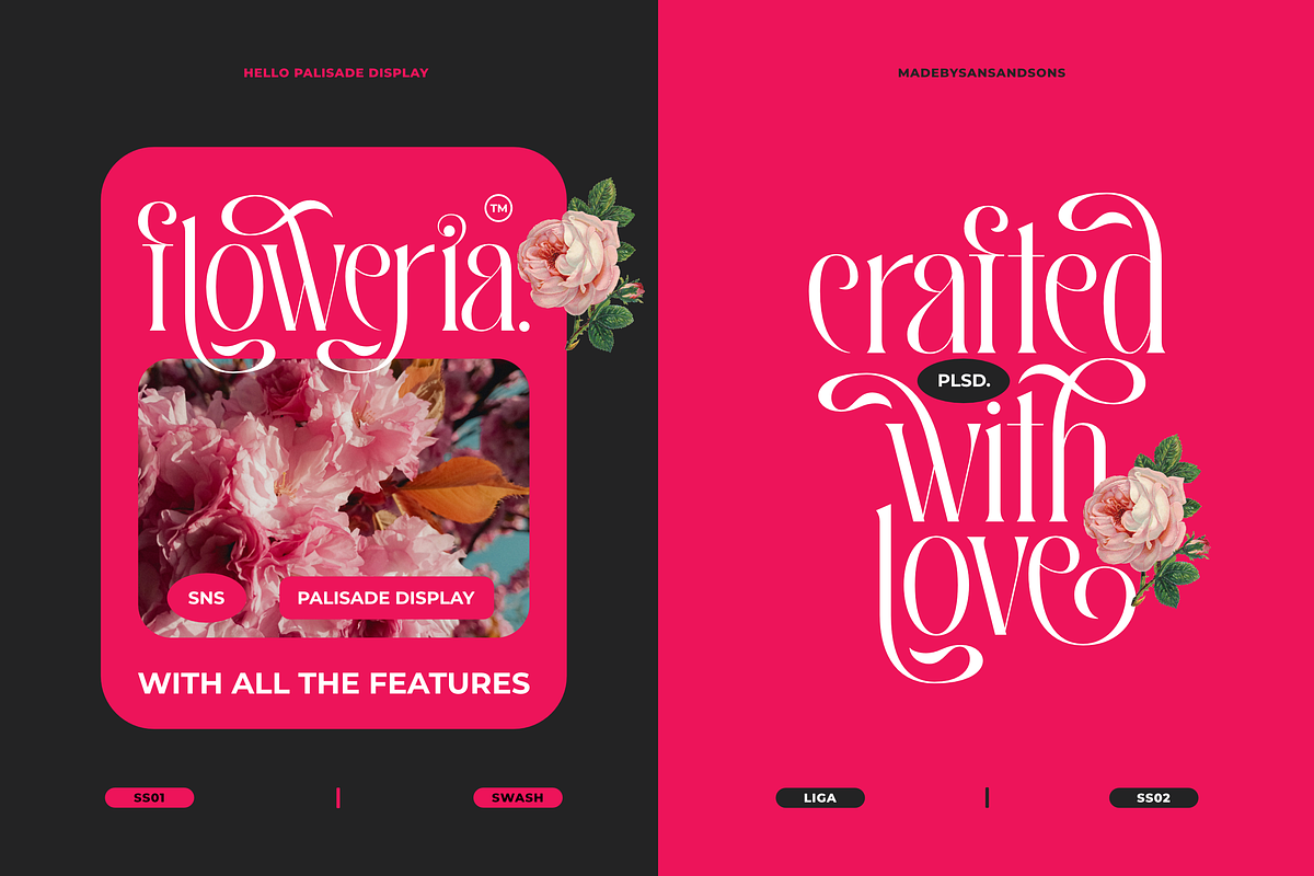 Hello Palisade Family, a Serif Font by Sans & Sons (Photo 3 of 10)