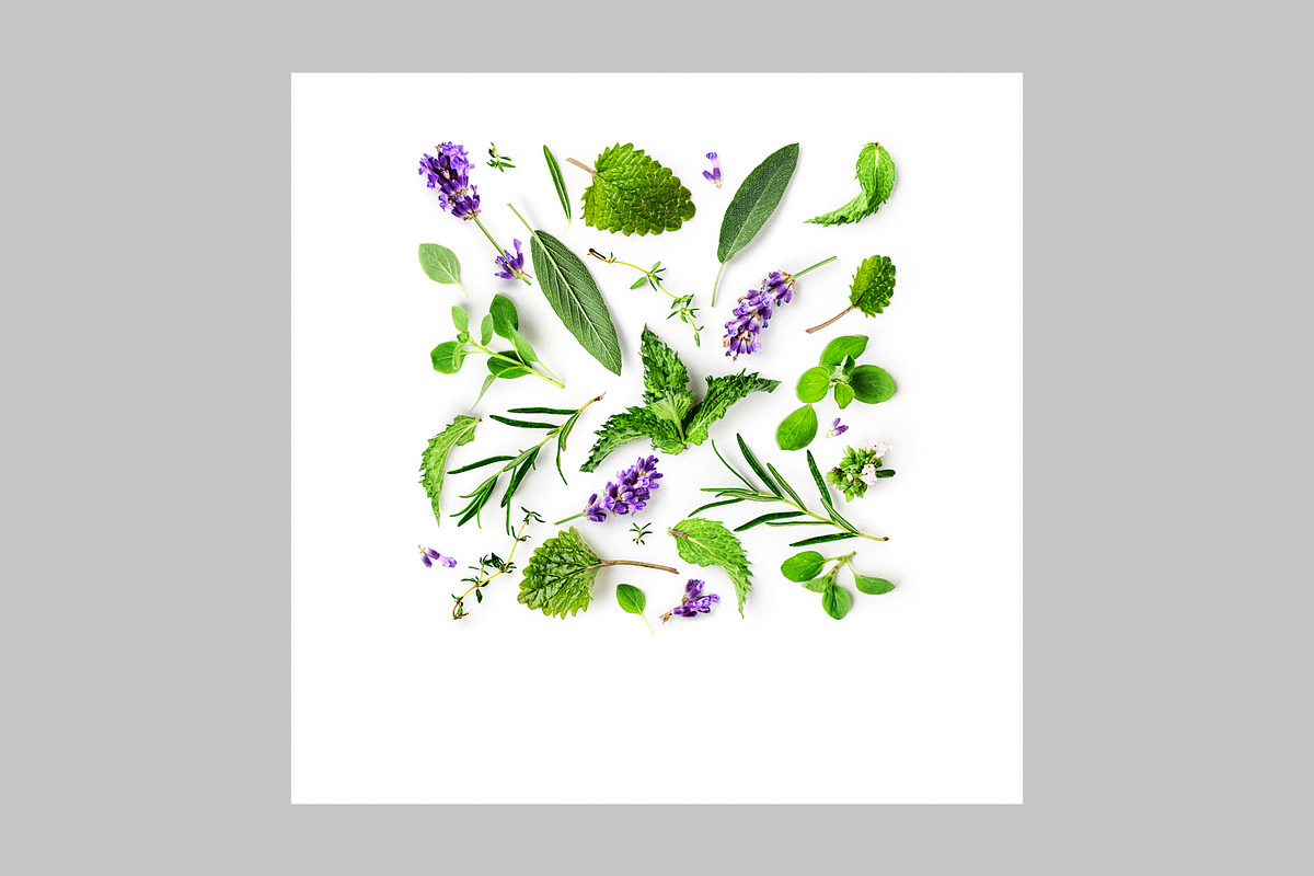 Lavender Herb Photo Pack, a Nature Photo by ifiStudio (Photo 12 of 14)