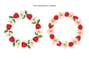 Delicious raspberries vector set, a Graphic by natamastery (Thumbnail 4 of 8)
