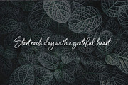 Serendipity Handwritten Font, a Script Font by Nicky Laatz (Thumbnail 18 of 18)