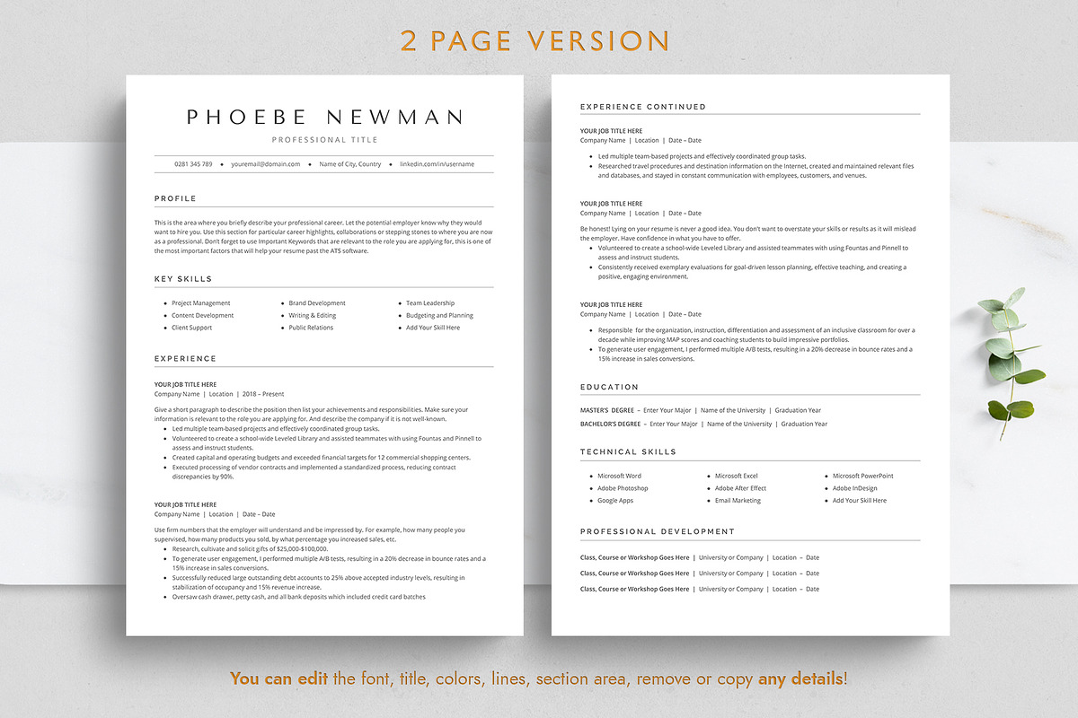ATS Resume Template preview 3