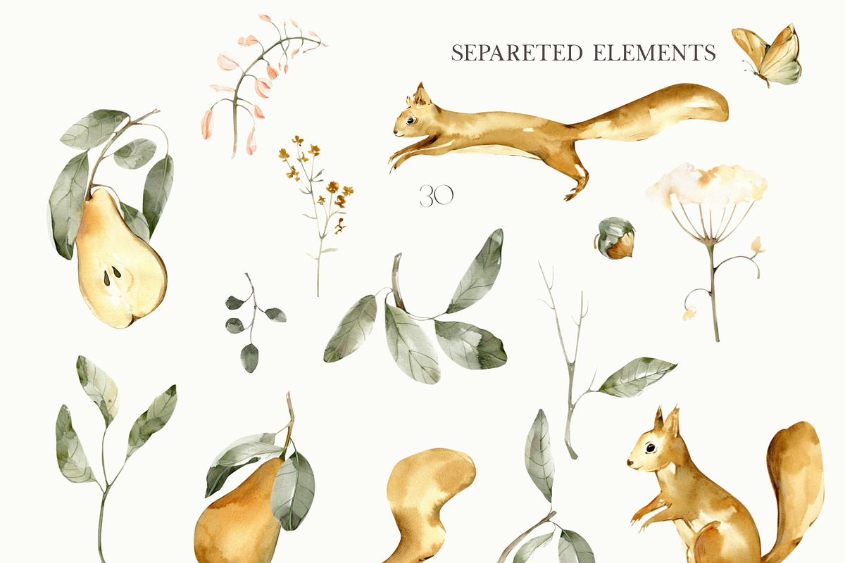 Vintage Forest Watercolor Collection, an Object Illustration by ArtMaslyana (Photo 2 of 15)