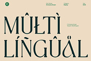 CS Asena Drawn, a Serif Font by Craft Supply Co. (Thumbnail 6 of 8)