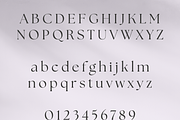 Retro Standard Serif, a Serif Font by Creative Foundry (Thumbnail 6 of 8)