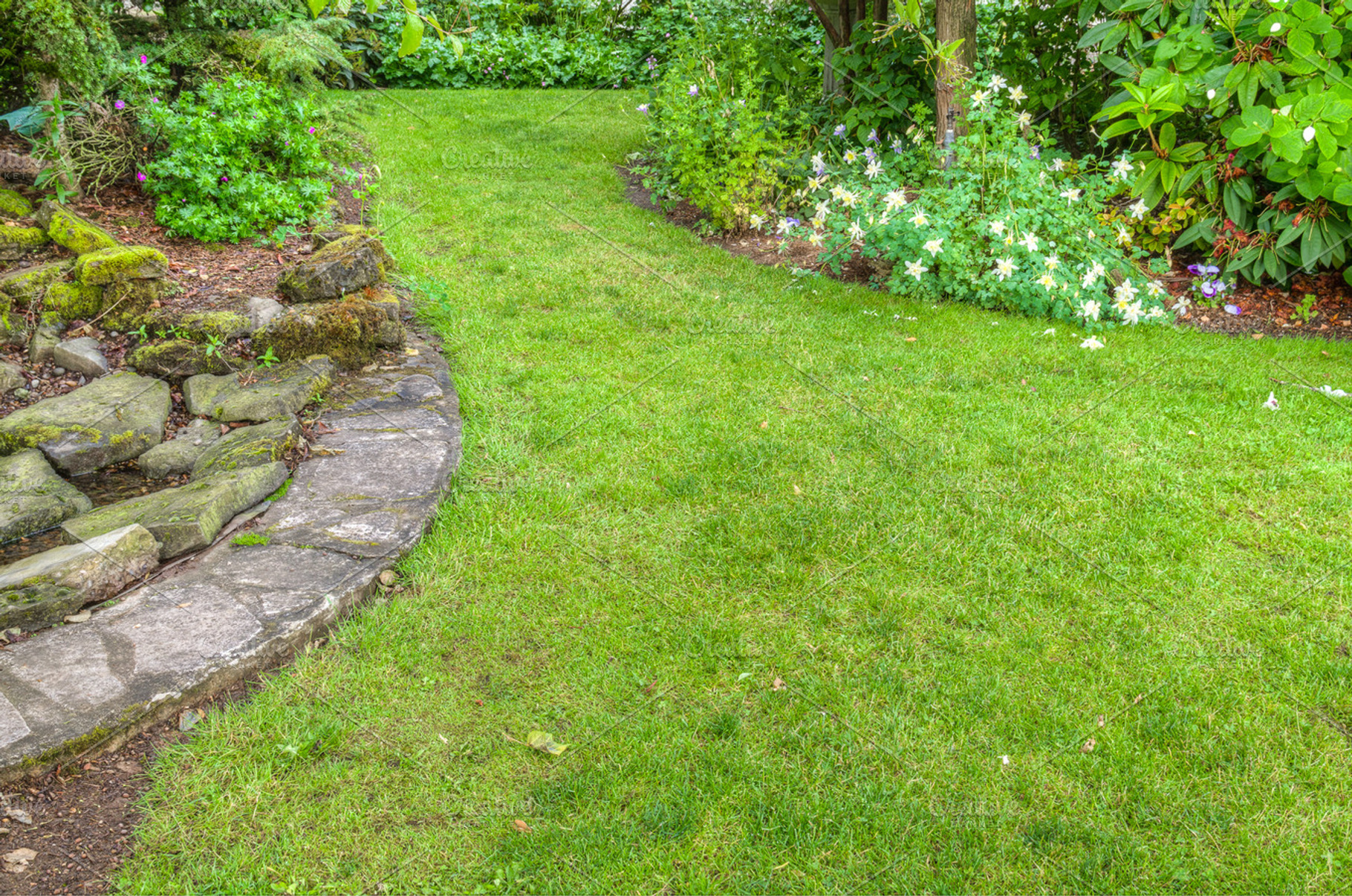 Landscaped Garden Scene