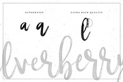 Silverberry - Dry Ink Font, a Script Font by Mats-Peter Forss (Thumbnail 6 of 7)
