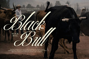 Beatric Elegant Script Font, a Script Font by Elegant Font (Thumbnail 3 of 8)