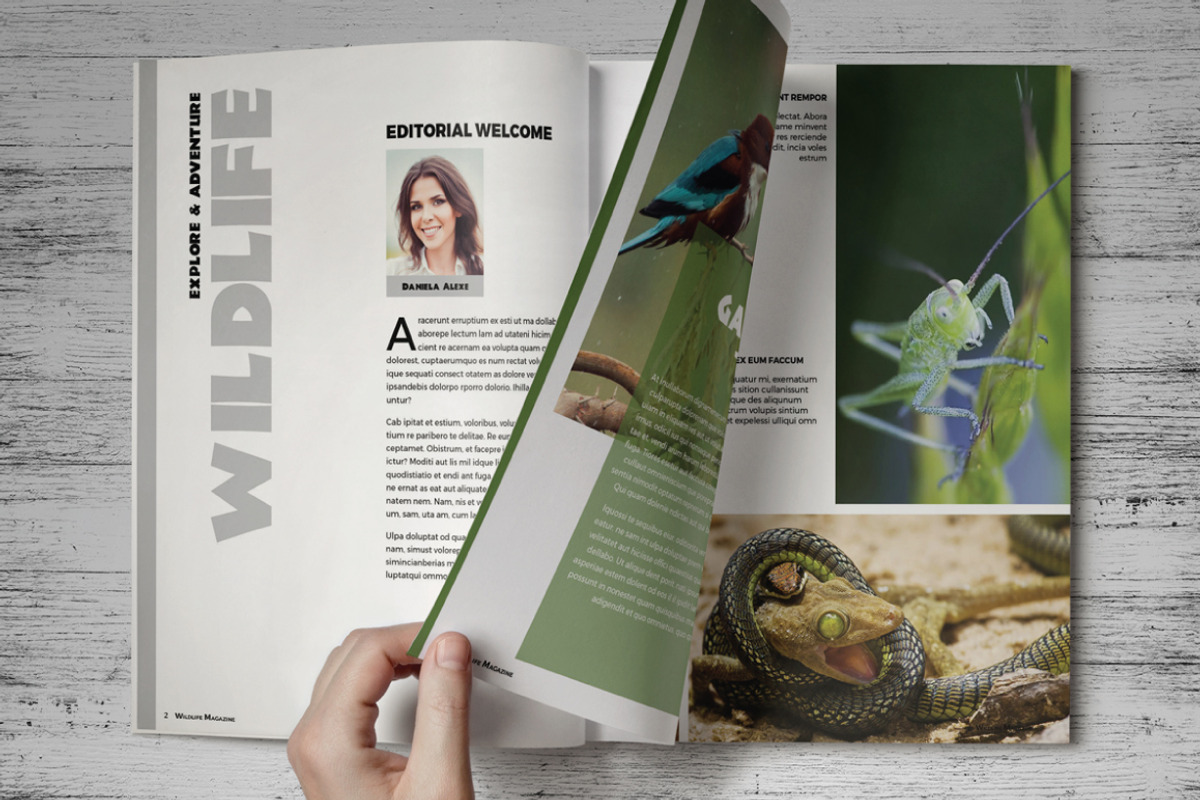 Wildlife Magazine Template, a Magazine Template by voryu (Photo 3 of 5)