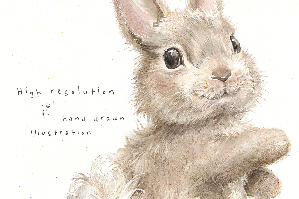 Easter animals, an Animal Illustration by Mimomy (Photo 3 of 12)