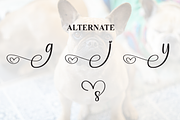 Bulldogs | Script Font, a Handwritten Font by Scratchones (Thumbnail 8 of 9)