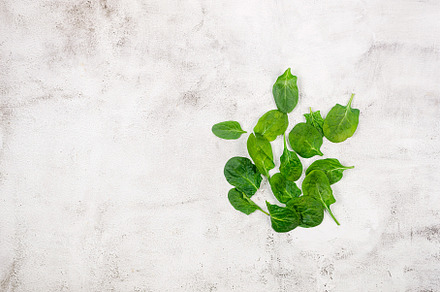Fresh spinach leaves on a gray table, a Food & Drink Photo by vimart