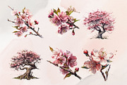 12 Watercolor Cherry Blossom Clipart, a Decorative Illustration by Jalina Clipart Studio (Thumbnail 3 of 9)