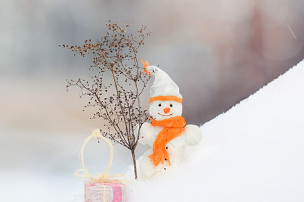 Snowman with nose carrot with gifts, a Holiday Photo by Concept & Horses