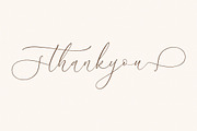 August Sterling Beauty Calligraphy, a Script Font by Storytype Studio (Thumbnail 15 of 15)