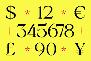 Badiek Serif Display, a Serif Font by timelesstype.co (Thumbnail 6 of 15)