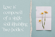 Esther - Stylish Ligature Serif Font, a Serif Font by SilverStag Type Foundry (Thumbnail 23 of 27)