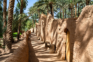 Traditional mudbrick walls and palm trees in AlUla Oasis