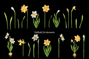 Watercolor wild spring flowers set, a Decorative Illustration by KathrineWatercolor (Thumbnail 6 of 10)