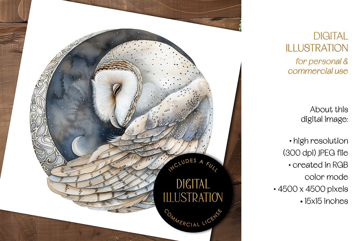 Barn Owl In Moon Circle Illustration, an Animal Illustration by The Dutch Lady Designs (Photo 2 of 4)
