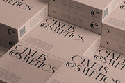 Cosmic Solace - Ligature Typeface, a Serif Font by SilverStag Type Foundry (Thumbnail 7 of 30)