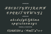 Hiclent, a Script Font by StudioRhd (Thumbnail 8 of 9)