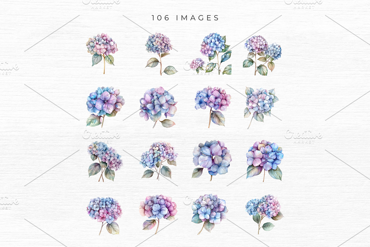 Hydrangea Clipart, Floral Clipart,, an Object Graphic by EllyandLima (Photo 5 of 9)