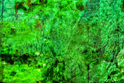 Green dark abstract,Ordinary green, an Abstract Photo by Manis recycle abstract (Thumbnail 2 of 2)