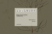 Forest floor nature backgrounds, a Background Graphic by viktoriiavk (Thumbnail 2 of 8)