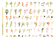 Bloom Season Summer Floral Clipart, a Decorative Illustration by Olia (Thumbnail 5 of 12)