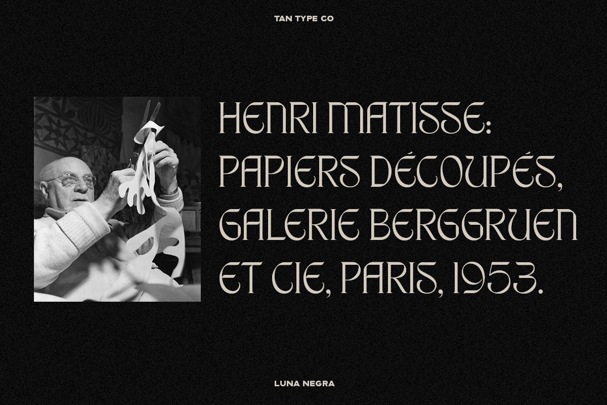 TAN - LUNA NEGRA, a Serif Font by TanType (Photo 11 of 16)
