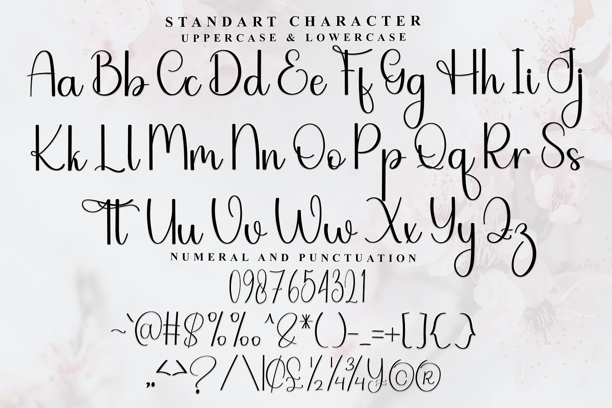 Alphabet Handwriting, a Handwritten Font by FreshTypeINK (Photo 3 of 8)