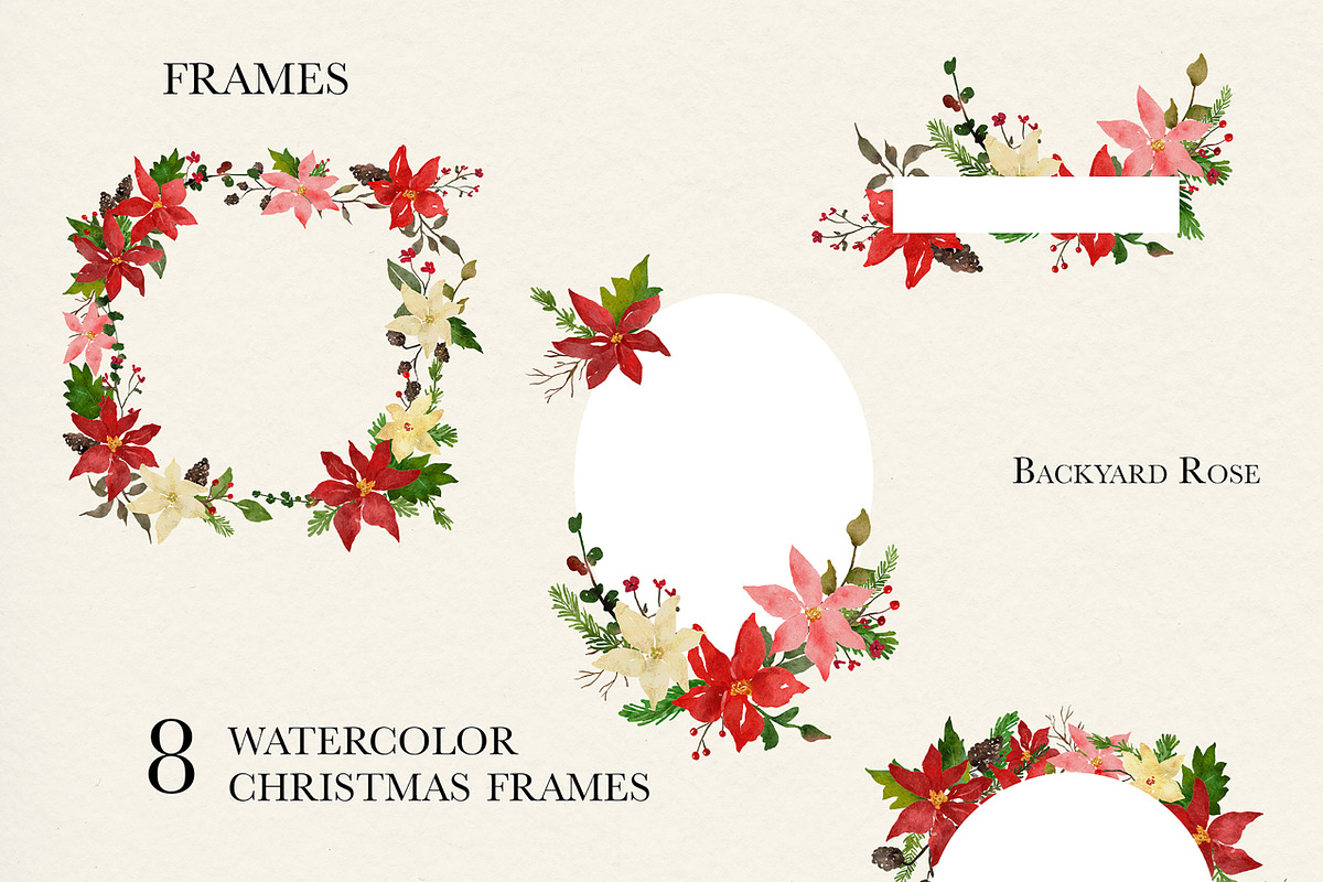 Watercolor Christmas Poinsettia, an Illustration by Backyard Rose (Photo 7 of 11)